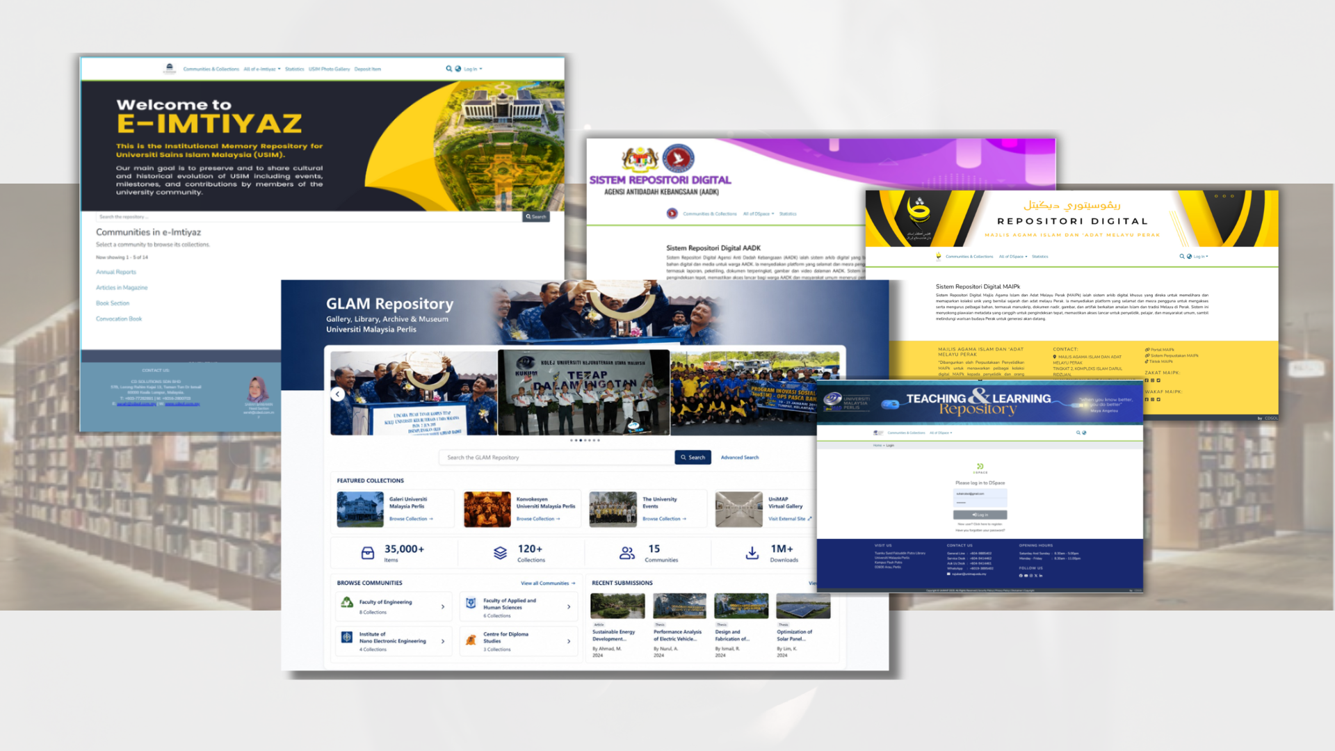 DSpace digital repository interfaces